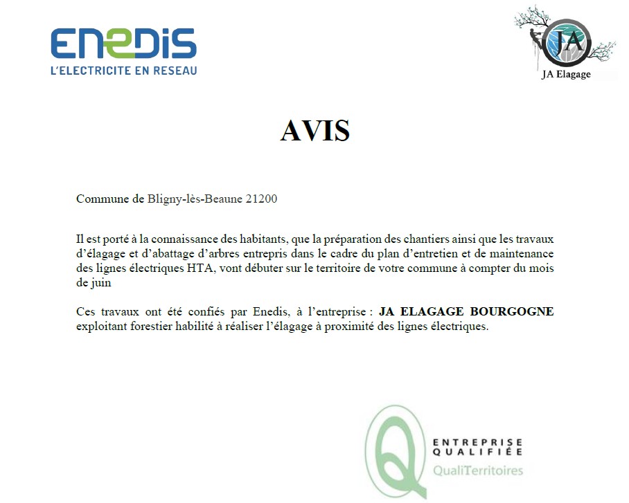 Entretien des lignes électriques